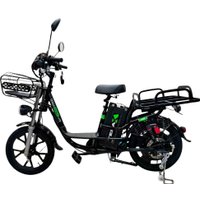 Электровелосипед Terax DVINA LITE NS011