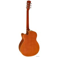 Акустическая гитара Elitaro E4010 SB