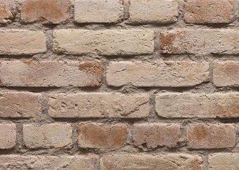 Подворье Феодал Кирпич Брест-Литовский рядовой 26.14 (охра с белыми масками)