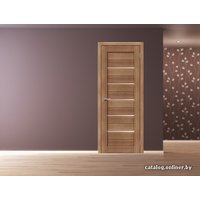 Межкомнатная дверь Portas S22 (орех карамель) в Бобруйске