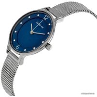 Наручные часы Skagen SKW2307