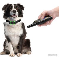 Электронный ошейник Petcomer P880