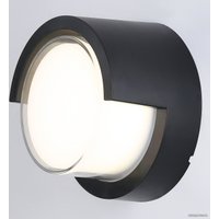 Уличный настенный светильник Ambrella light Garden ST5231