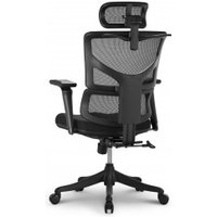 Офисное кресло Ergostyle Sail E-Pro SAE-MF01N (черный/черный)