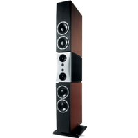 Напольная акустика Dynaudio Evidence Temptation