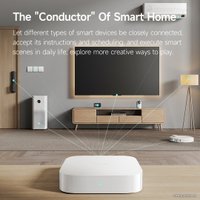 Центр управления (хаб) Xiaomi Smart Home Hub 2 ZNDMWG04LM (международная версия)