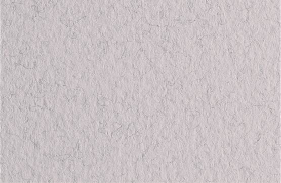 

Бумага для сухих техник Невская палитра Мастер-Класс 50х65 см 275452656 (10 л, лунный камень)