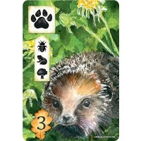 Настольная игра Мир Хобби Поляна