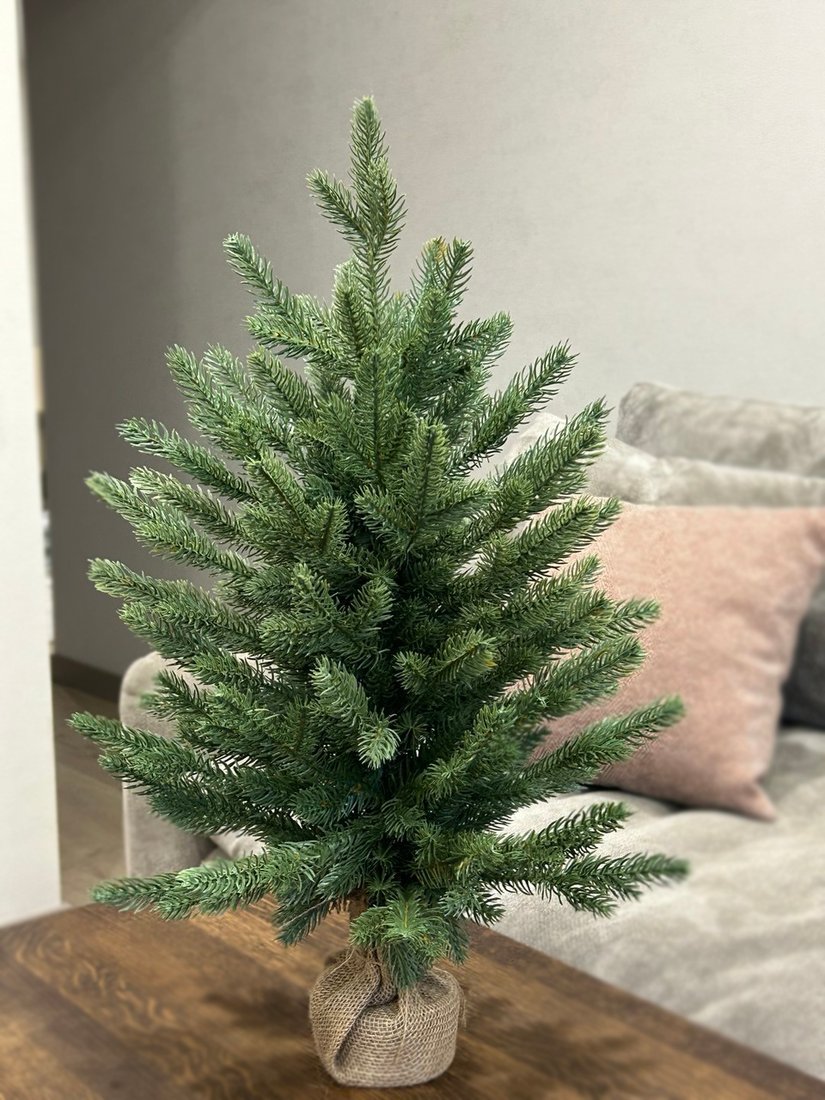 

Ель GleGo Руана (0.6 м)