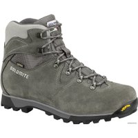 Ботинки Dolomite Tash Gtx