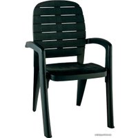 Стул Элластик-Пласт Прованс 58x46.5x90 (темно-зеленый)