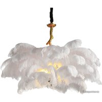 Подвесная люстра L'Arte Luce Feather lamp L03408.02