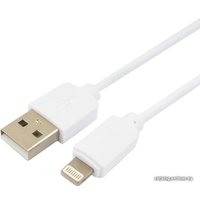 Кабель Гарнизон GCC-USB2-AP2-6-W 1.8m