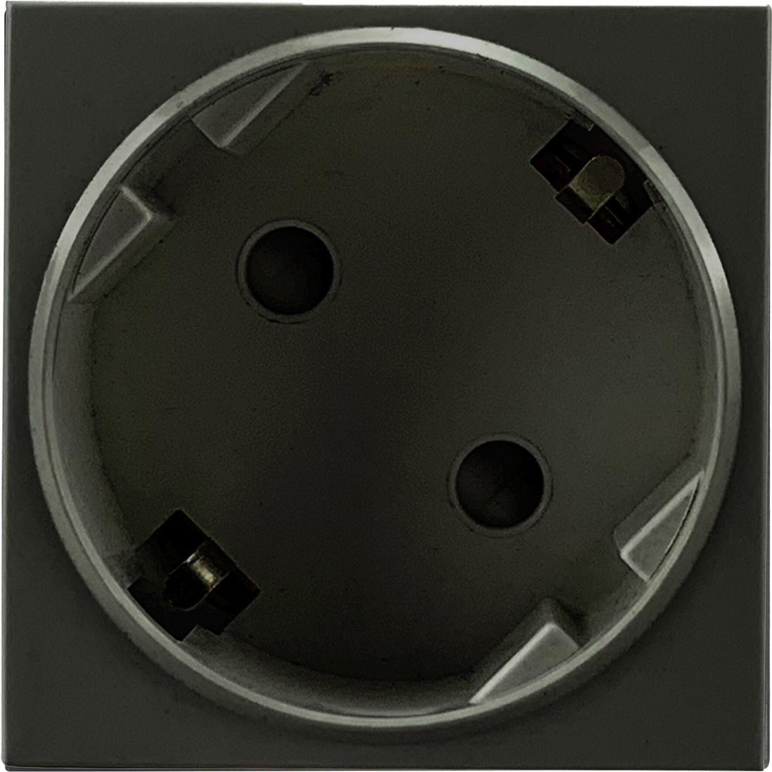 

Розетка Orno OR-GM-9010/B/GS45