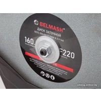 Заточный станок Белмаш WPG-250/200VS
