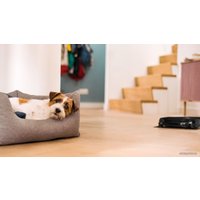 Робот-пылесос Miele Scout RX3 SPQL