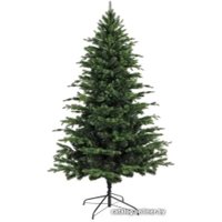 Ель Бифорес Фантастика (1.65 м, темно-зеленый)