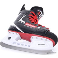 Коньки Tempish Rental R36 (р. 45)