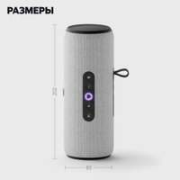 Умная колонка Яндекс Станция Стрит (серый)