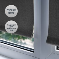 Рулонные шторы Franc Gardiner Blackout Dublin 110x160 6533513 (серый)