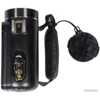 Видеокамера Rekam Allure zoom 1100 в Гродно