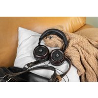 Наушники Radiotehnika Feylon (черный)