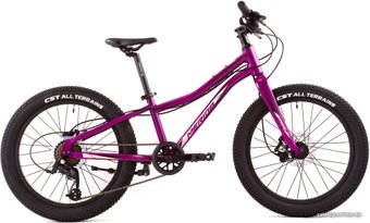 Детский велосипед Merida Matts J20+ Pro 2022 (пурпурный)