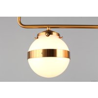 Люстра средней высоты Aployt Lulu APL.820.03.03