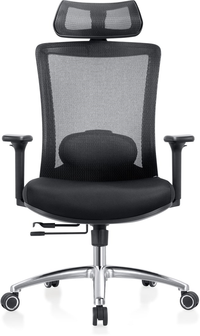

Офисное кресло Evolution ERGO Prime Black (черный)