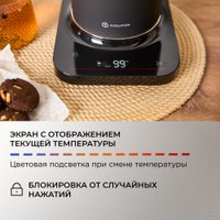 Электрический чайник Evolution KP22151L Thermocontrol