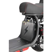 Электроскутер White Siberia CityCoco WS-Pro Max 3950W 21Ah (с черными брызговиками) в Бресте