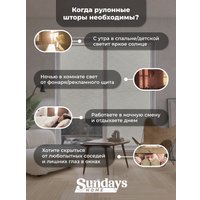 Рулонные шторы Sundays Home LM 165-02 52х160 (молочный лен)