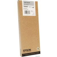 Картридж Epson C13T606700