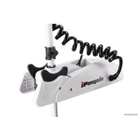 Лодочный мотор Haibo iPenguin P65 12V Pro