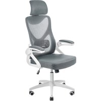 Офисное кресло Mio Tesoro Молизе AF-C4219 (серый)