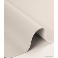 Рулонные шторы Legrand Блэкаут Болид 42.5x175 58127475 (муссон)