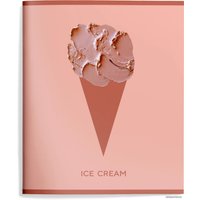 Полуобщая тетрадь Schoolformat Необычное мороженое ТОК48-НМО (48 л)