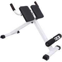 Гиперэкстензия Central Sport N15 (белый)