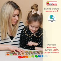 Сортер Alatoys Пазл Логика ПЗЛ51