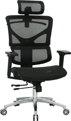 Evolution ERGO Mesh (черный)