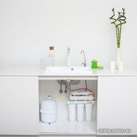 Система обратного осмоса ECOSOFT Standard MO550ECOSTD (с краном)