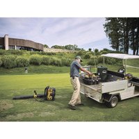 Зарядное устройство DeWalt DCB116 (40В)