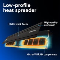 Оперативная память Crucial Pro 24ГБ DDR5 6000 МГц CP24G60C48U5