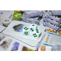Настольная игра Фабрика игр Петрикор