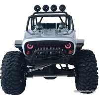 Автомодель Remo Hobby RH1073-SJ