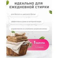 Капсулы для стирки Remi Universal Альпийская свежесть (100 шт)