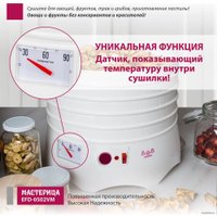 Сушилка для овощей и фруктов Мастерица EFD-0502VM (5 поддонов и 1 поддон для пастилы)