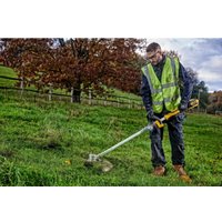 Триммер DeWalt DCMST561P1 (с 1-им АКБ)