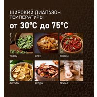 Сушилка для овощей и фруктов Weissgauff WDH 106 Dry Cube