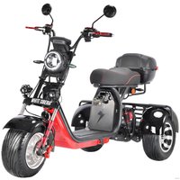 Электроскутер White Siberia CityCoco WS-Pro Trike 3000W 21Ah (с черными брызговиками)